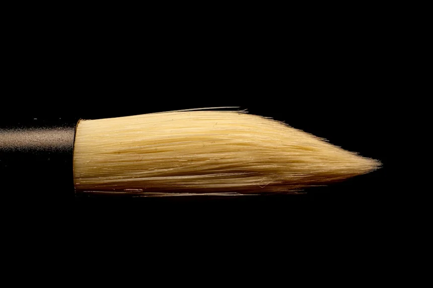 Brush